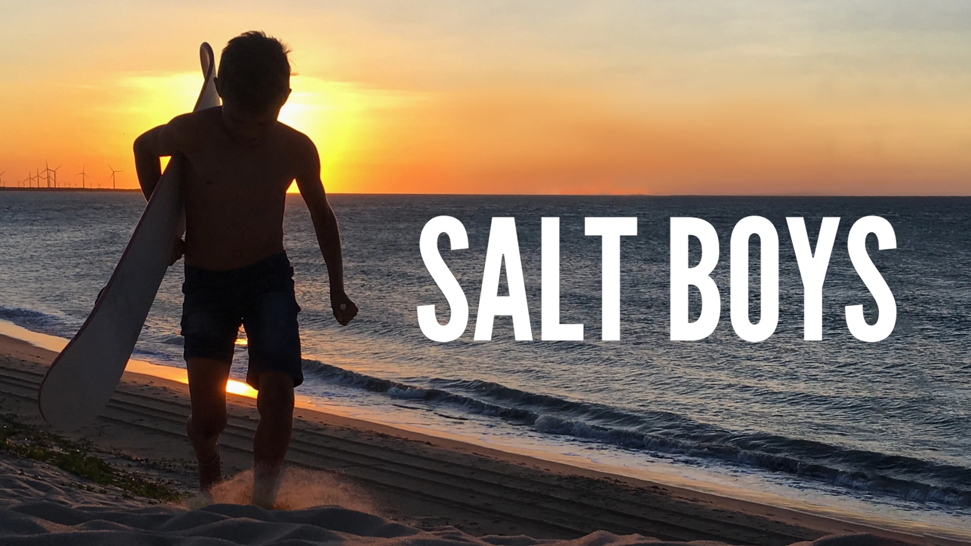 Salt Boys poster